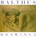 Books : Balthus: The Drawings