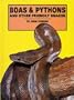 Boas & Pythons and Other Friendly Snakes
