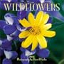 Wildflowers 2004 Calendar