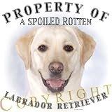 Yellow Labrador Retriever Mousepad Dog Mouse Pad Property Of