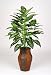 Artificial Diffenbachia Floor Plant