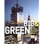 Big and Green: toward Sustainable Architecture in the 21st Century