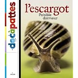 Détails sur le produit