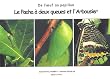 Le pacha � deux queues et l'arbousier. De l'oeuf au papillon