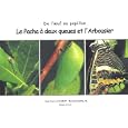 D�tails sur le produit