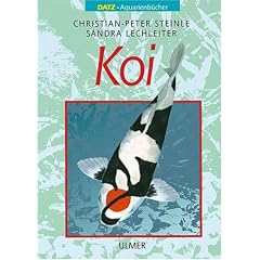 Koi