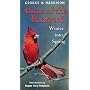 Birds of the Backyard: Winter Into Spring