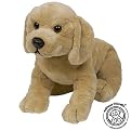 asthma friendly Yellow Labrador