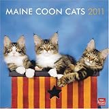 Maine Coon Cats 2011 Square 12X12 Wall Calendar (Multilingual Edition)->Cliquez sur l'image pour obtenir des informations sur ce livre