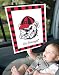 University of Georgia Bulldogs Automobile Sunshade