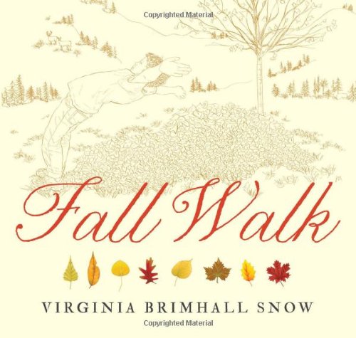 Fall Walk