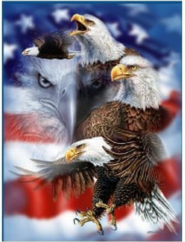 Royal Plush Extra Heavy Queen Size Mink Blanket - Patriotic Eagles (79" x 85")