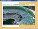 Iridologie Augendiagnose (Irisdiagnose) Lernprogramm Software