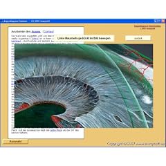 Iridologie Augendiagnose (Irisdiagnose) Lernprogramm Software