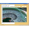 Iridologie Augendiagnose (Irisdiagnose) Lernprogramm Software