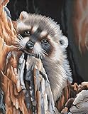 Dimensions Needlecrafts Paintworks Paint By Number, Daydreaming Raccoon