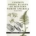Common Fossil Plants of Western North America
