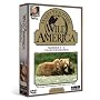 Marty Stouffer's Wild America: Seasons 1-6