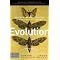 learn about evolution