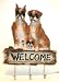   - Boxer Dog Welcome Key -Leash Holder Rack 3 Hooks