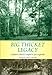 Book Big Thicket Legacy (Temple Big Thicket Series, 2)