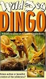 Wild Dog Dingo [1994] [VHS]