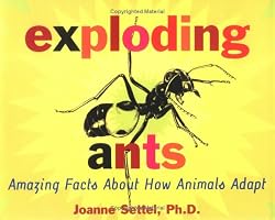 Exploding Ants: Amazing Facts About How Animals Adapt