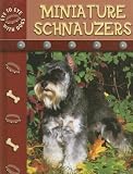 Miniature Schnauzers (Eye to Eye With Dogs)