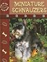 Miniature Schnauzers