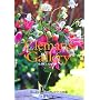 Clematis Gallery�\�������łЂ��Ƃ��N���}�`�X�}�� (�W���G���[�u�b�N�V���[�Y)