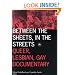 Between the Sheets, in the Streets: Queer, Lesbian, and Gay Documentary (Visible Evidence, Vol 1)