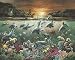 Two Tropical Fish Posters Great Barrier Art Print Reef Surrealism Picture