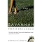 British, Irish, Southern, and Christian Lit and Chick Lit