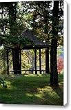 Gazebo 2 Canvas Print / Canvas Art - Artist Michelle BarlondSmith