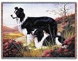 Border Collie Woven Throw Blanket