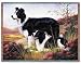 Border Collie Woven Throw Blanket