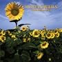 Sunflowers/Tournesols 2004 Calendar: Mini (French Edition)