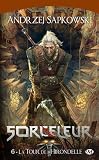 Acheter le livre Sorceleur, T6 : la Tour de lHirondelle