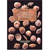 Naissance de la g�ologie historique : La terre, des th�ories � l'histoire