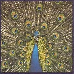 Expecting to Fly [CASSETTE]