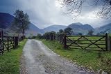 Whinlatter Pass by Travel Ink Photo Library poster print,24 in. x 16 in.