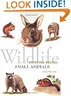 Wildlife Painting Basics - Small Animals