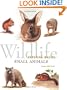 Wildlife Painting Basics - Small Animals