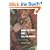 Wake the Town and Tell-PB: Dancehall Culture in Jamaica