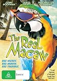 The Real Macaw [ NON-USA FORMAT, PAL, Reg.4 Import - Australia ]