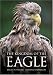 Kingdom of the Eagle