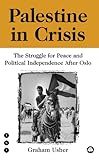 Palestine in crisis : the struggle for peace and political independence after Oslo