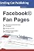 Facebook Fan Pages: Facebook Seiten für Unternehmen einrichten, gestalten, betreiben / Das Einsteigerbuch für Ihre Präsenz auf Facebook