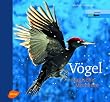 V�gel - Magische Momente