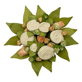 The Baby Bunch Organic Bunch Apricot 0 to 6 Months